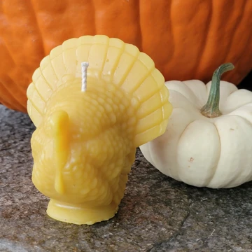 Beeswax turkey candle beside autumn pumpkins